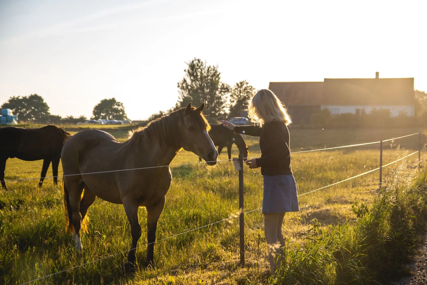 zenuwpijn paard